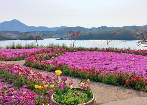 요산공원