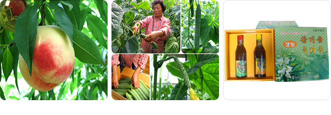 성수면 특산품