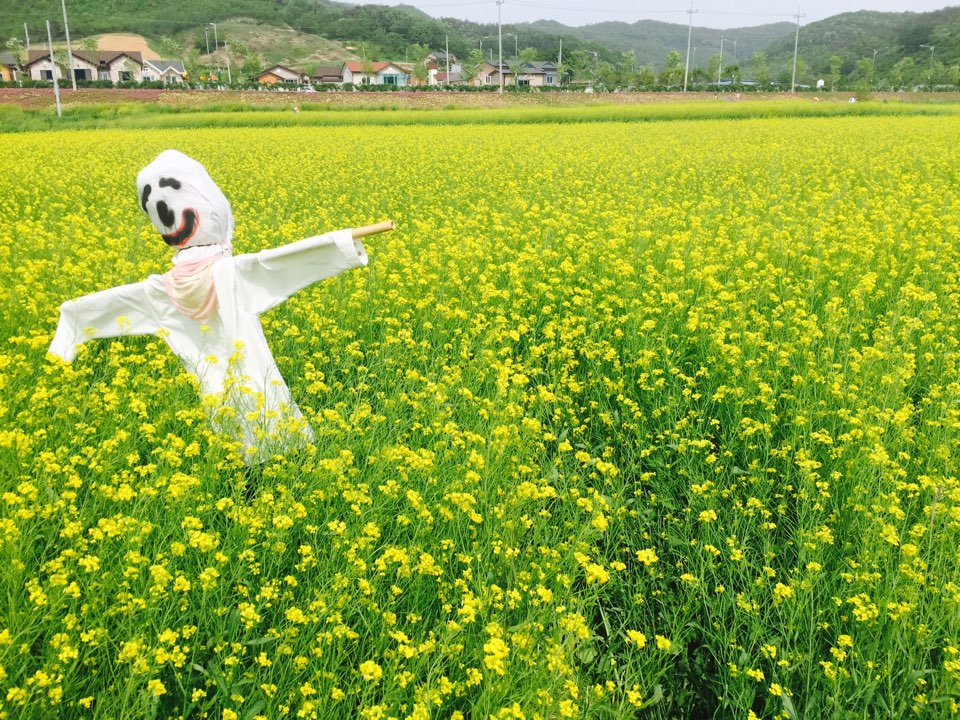 Okjeongho Flower & Firework Festival