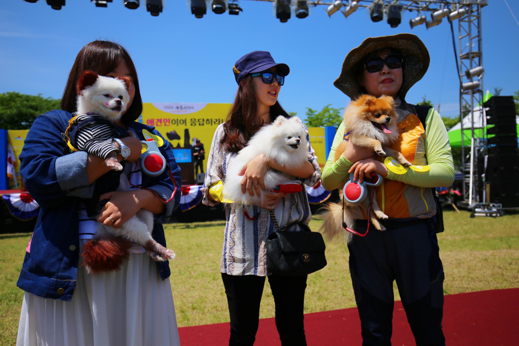 Loyal Dog Culture Festival 