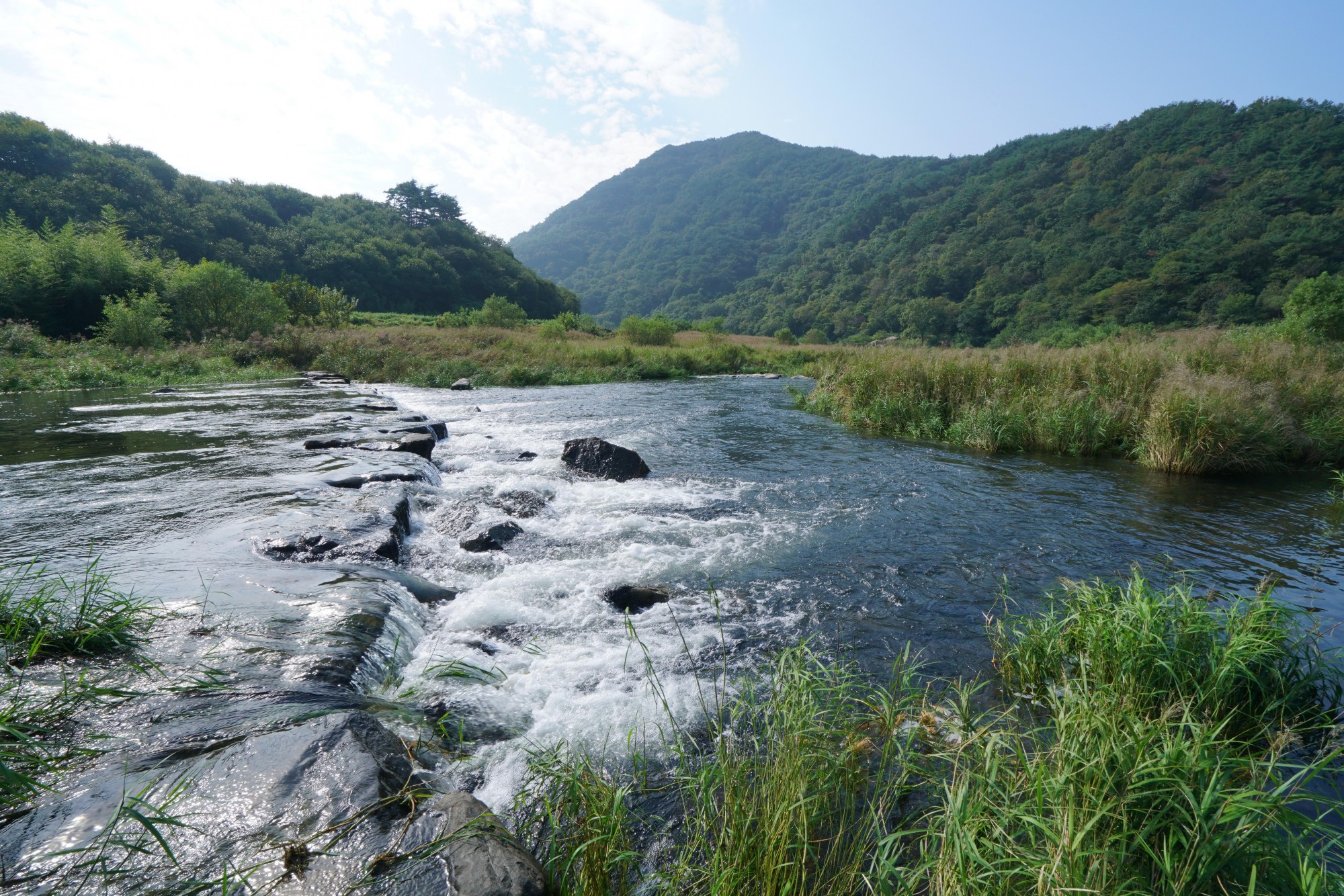 蟾津江川蜷庆典