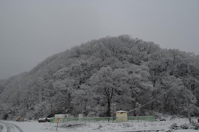 2월 아름다운 산야의 눈꽃 향연 1번째 이미지