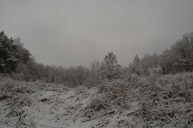 2월 아름다운 산야의 눈꽃 향연 4번째 이미지