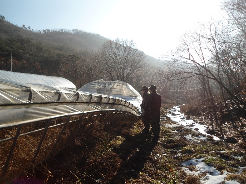 육군 제35사단 장병 농촌일손돕기 2번째 이미지