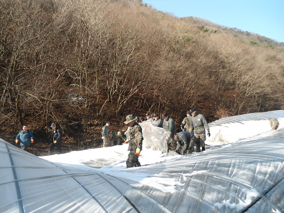 육군 제35사단 장병 농촌일손돕기 6번째 이미지