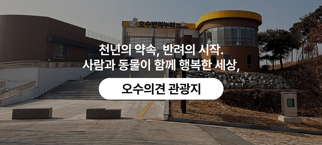 천년의 약속, 반려의 시작. 사람과 동물이 함께 행복한 세상, 오수의견 관광지