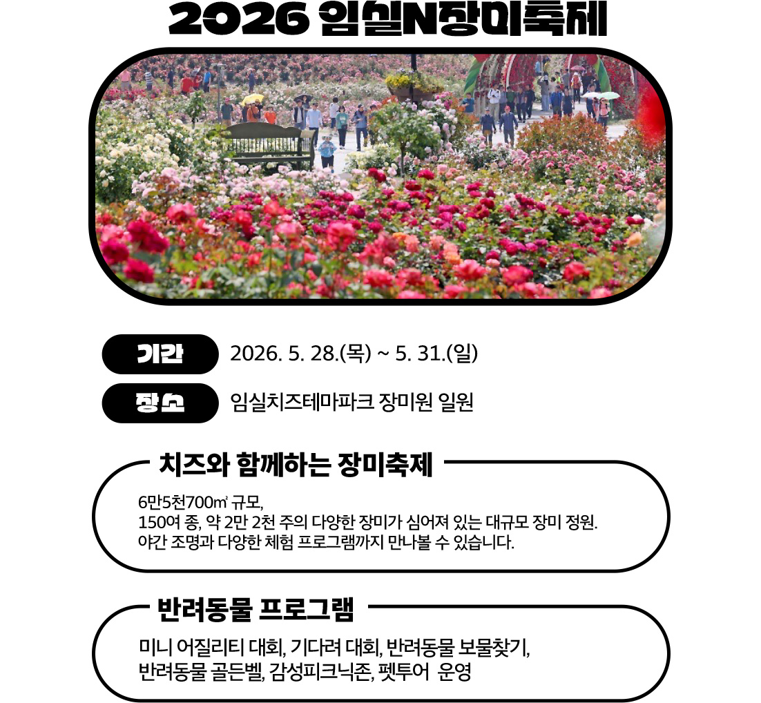 2026 임실N장미축제

	기간: 2026. 5. 28.(목) ~ 5. 31.(일)
	장소: 임실치즈테마파크 장미원 일원

	주요 내용
	치즈와 함께하는 장미축제
	6만5,700㎡ 규모
	150여 종, 약 2만2천 주 장미
	야간 조명 + 체험 프로그램
	반려동물 프로그램
	미니 어질리티, 기다려 대회
	반려동물 보물찾기
	골든벨, 피크닉존, 펫투어