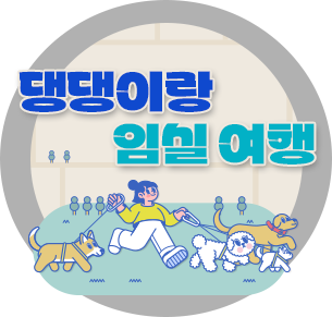 댕댕이랑 임실 여행