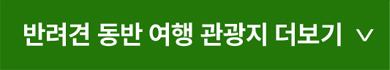 반려견 동반 여행 관광지 더보기