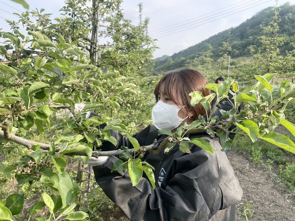 임실군, 과수화상병 사전방제 교육 실시 1번째 이미지