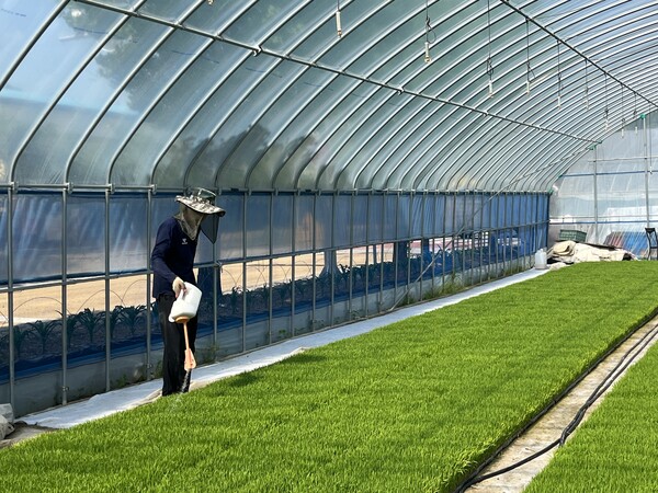임실군, 벼 육묘상자처리제 신청하세요! 1번째 이미지