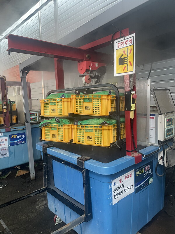 임실군, 고품질 쌀 생산의 첫걸음, 철저한 종자소독부터 1번째 이미지