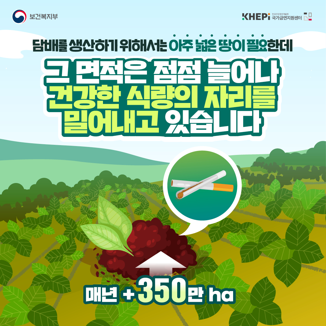 [제36회 세계 금연의 날] 담배가 아닌 건강한 식량을 키워주세요! 3번째 이미지