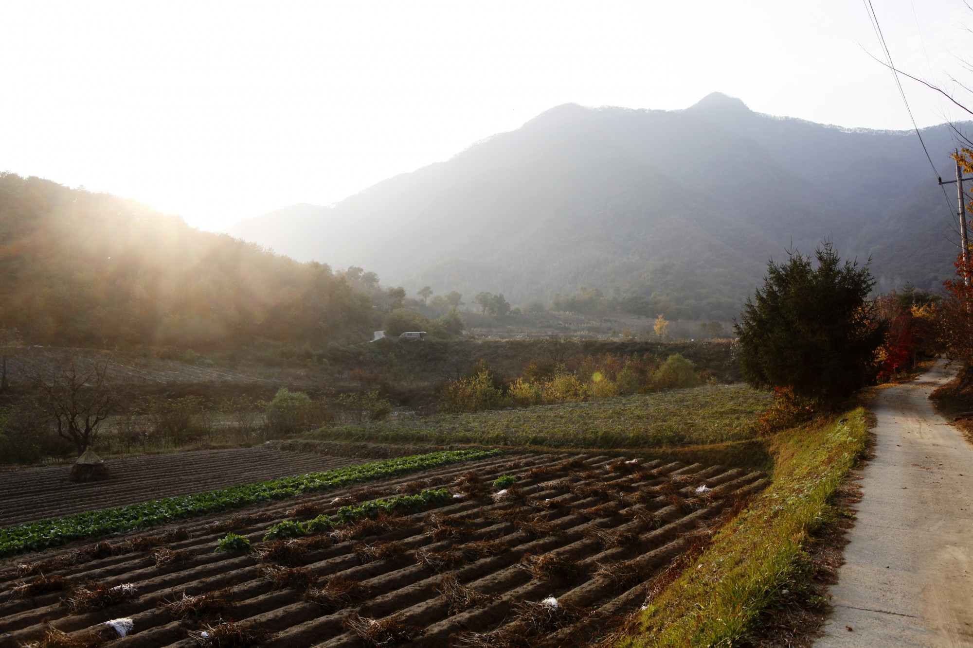 백련산_1.jpg