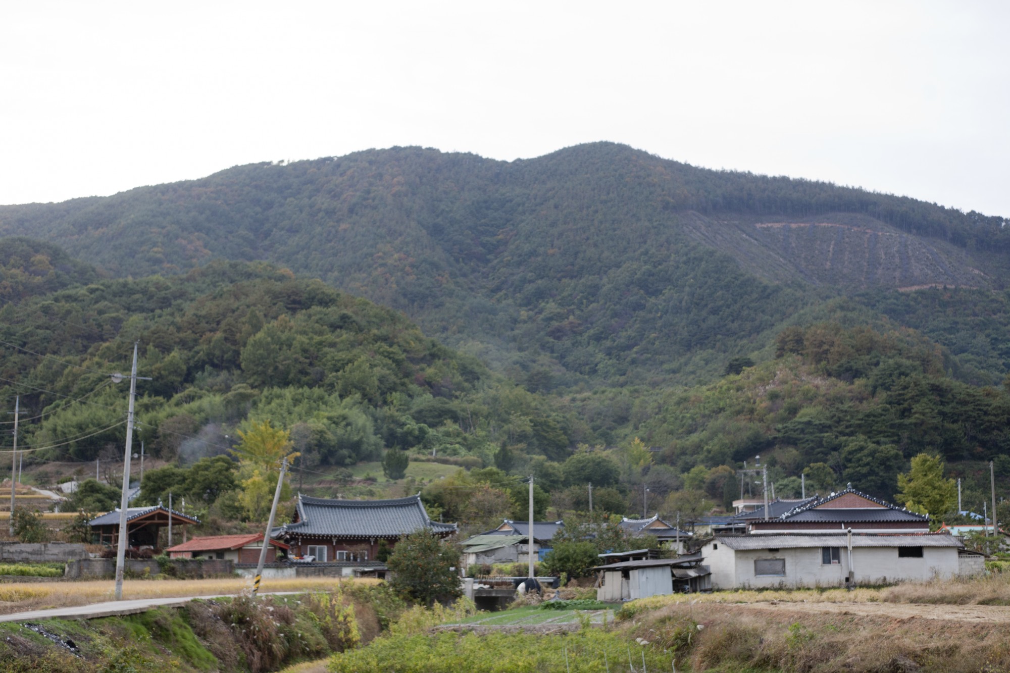 덕재산