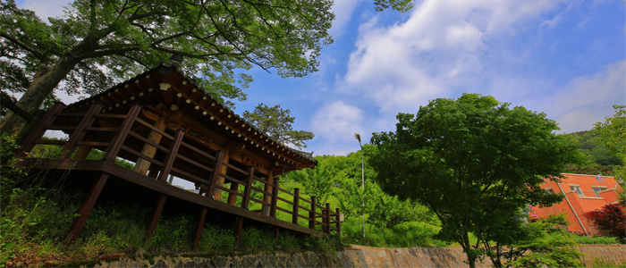 강변사리