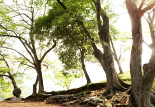 화면캡처2023-09-05132923.jpg