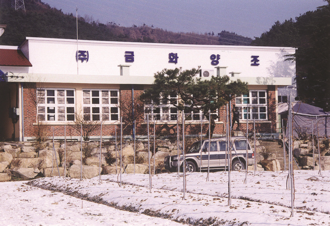 삼계면 삼계리 금화양조