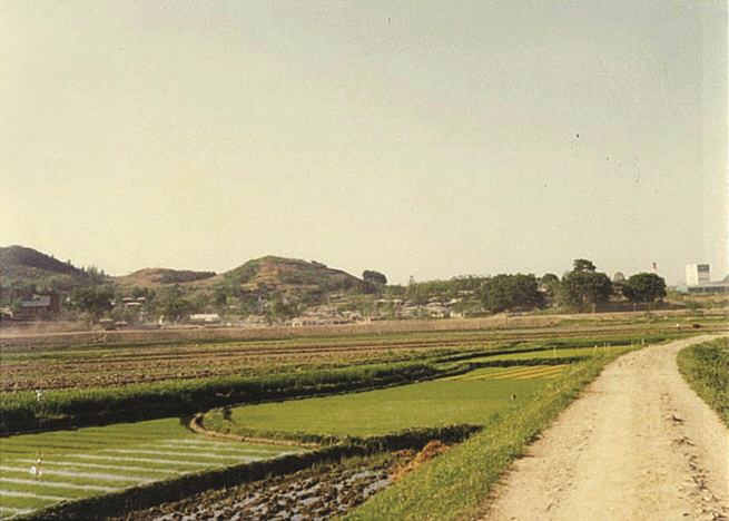 신평면 대리마을 전경 1980