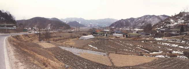 성수면 신촌삼거리 1981