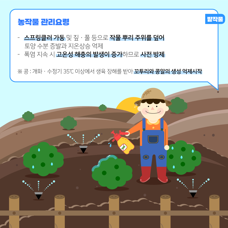 여름철폭염대비농작물및가축관리요령카드뉴스_1.png