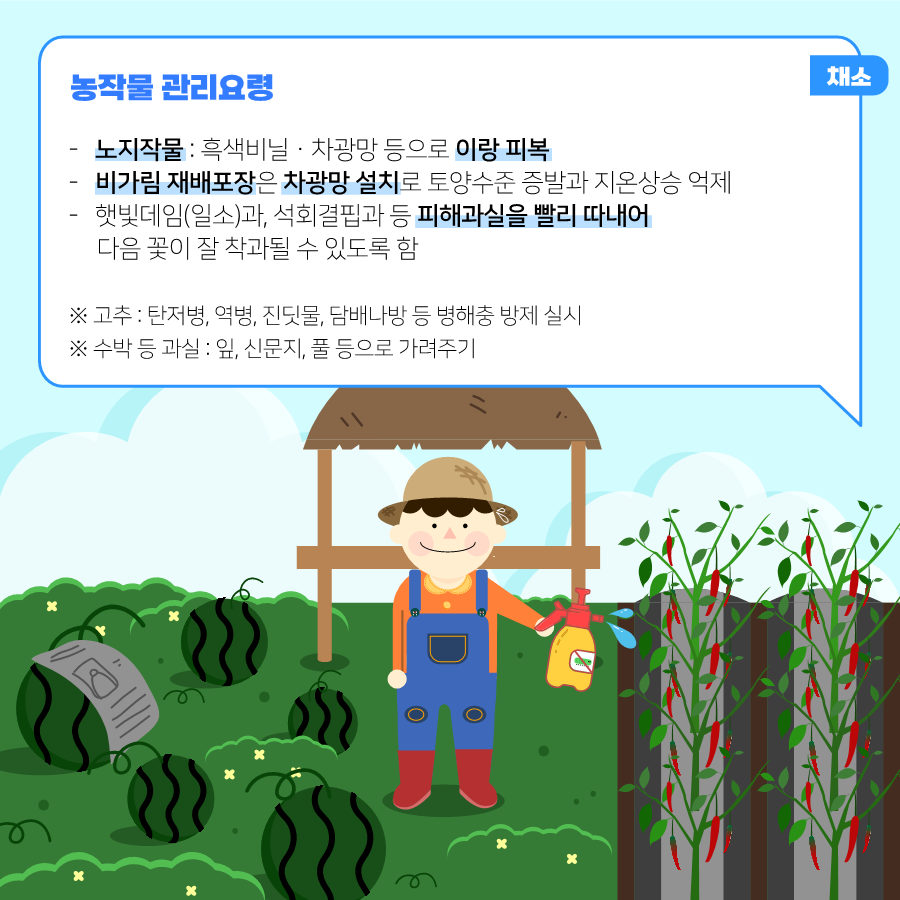 여름철폭염대비농작물및가축관리요령카드뉴스_1.png