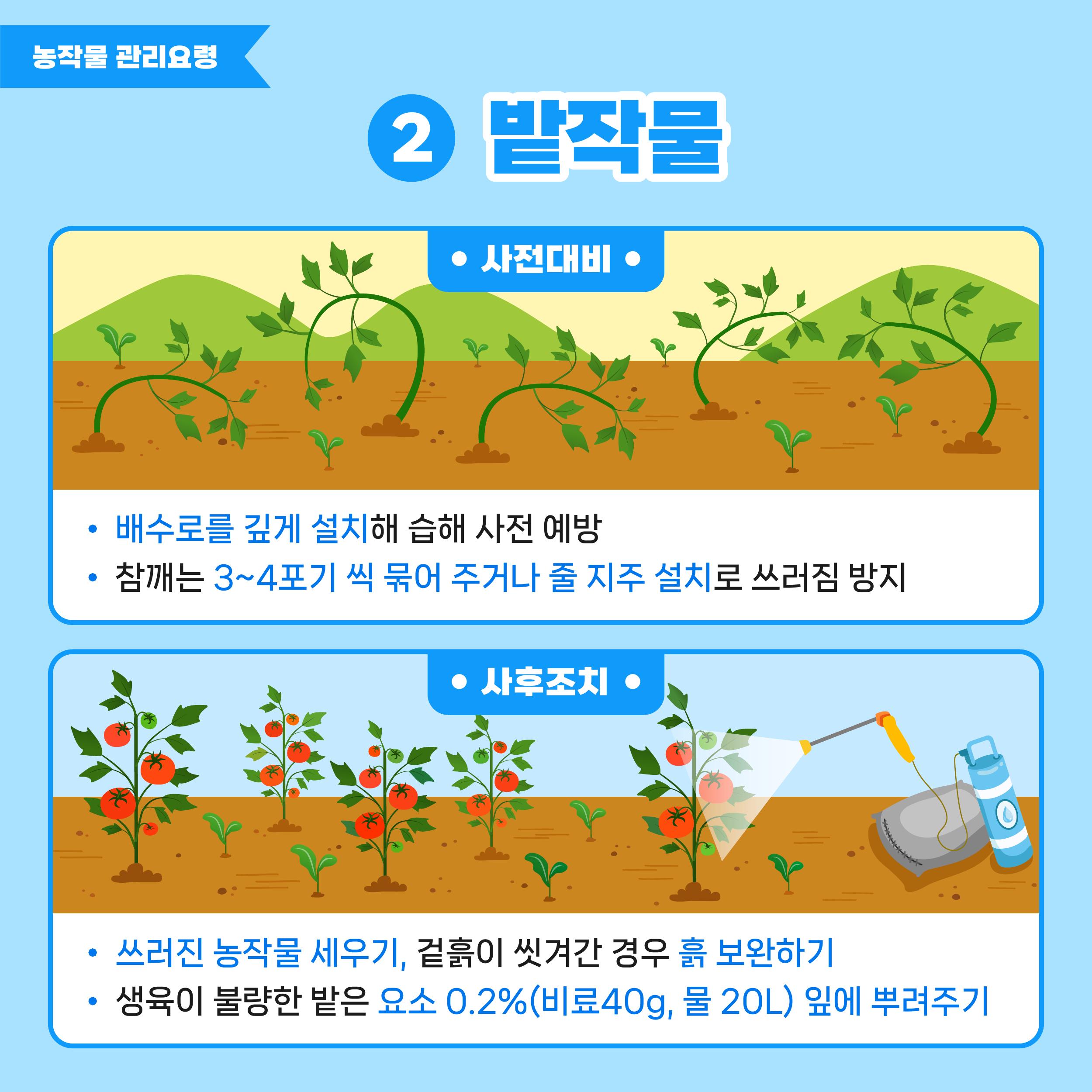 밭작물