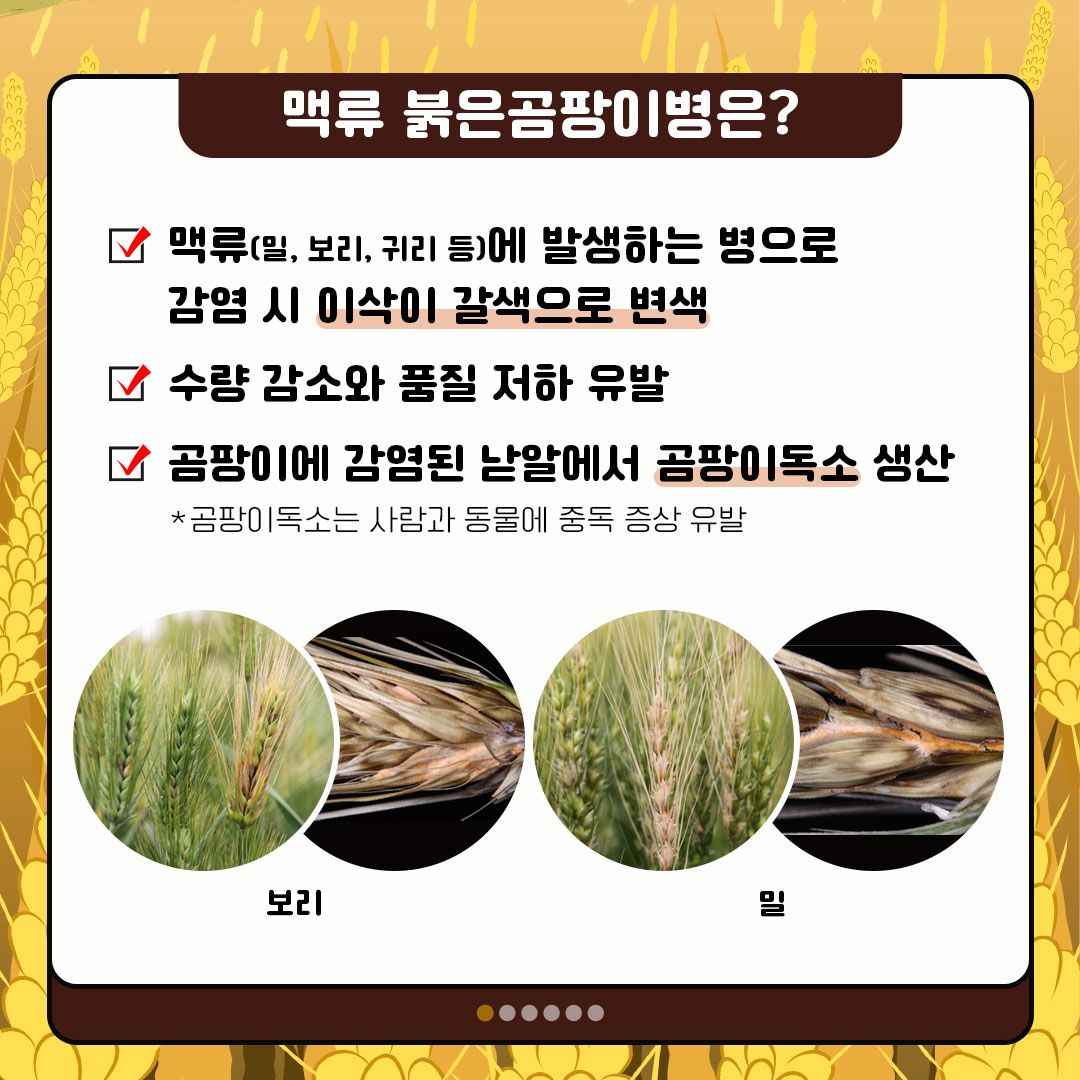 p1.jpg