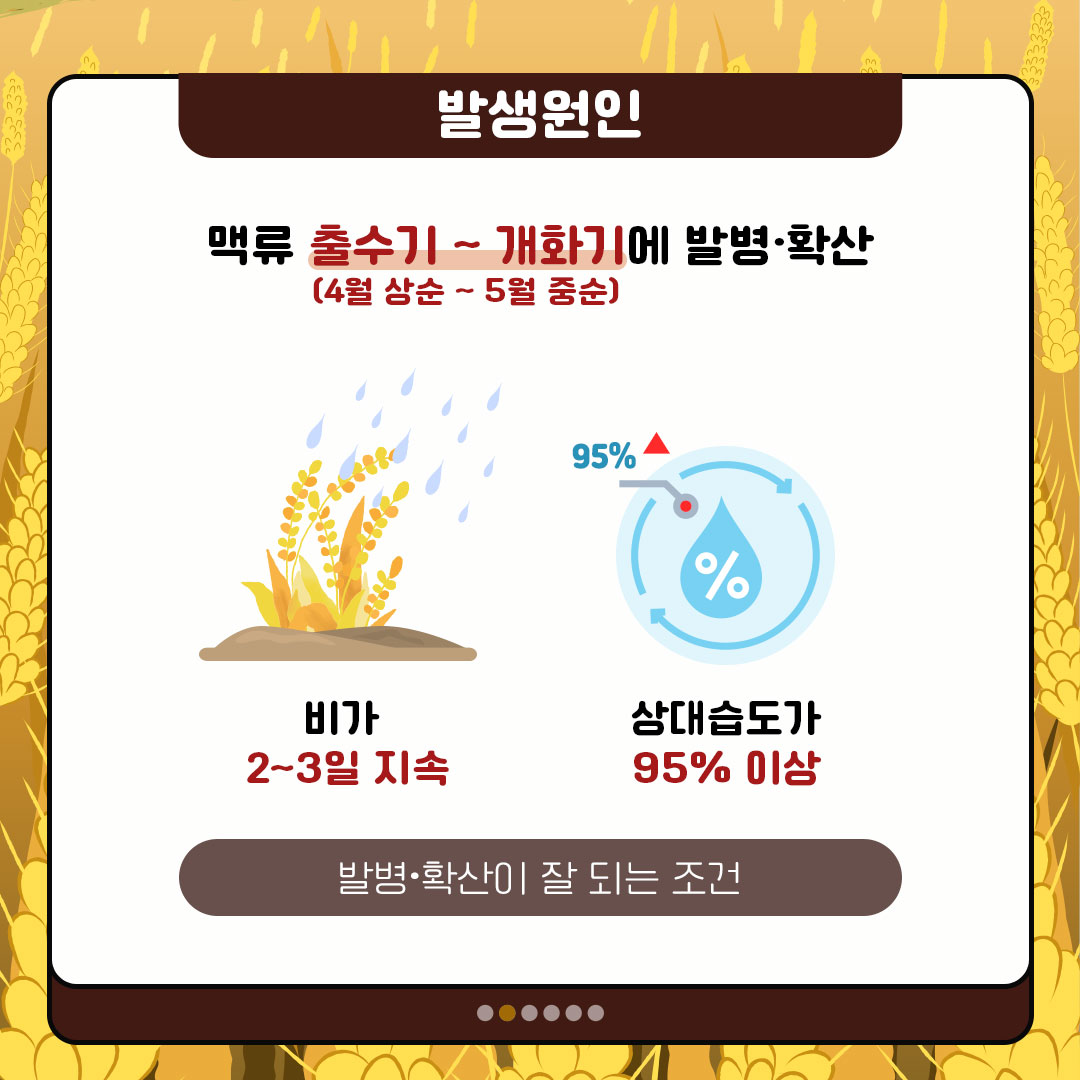 p1.jpg