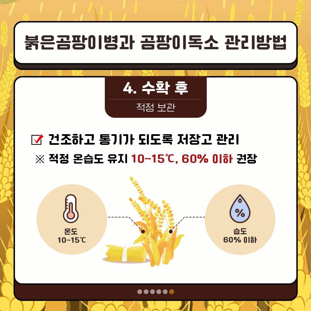 p1.jpg