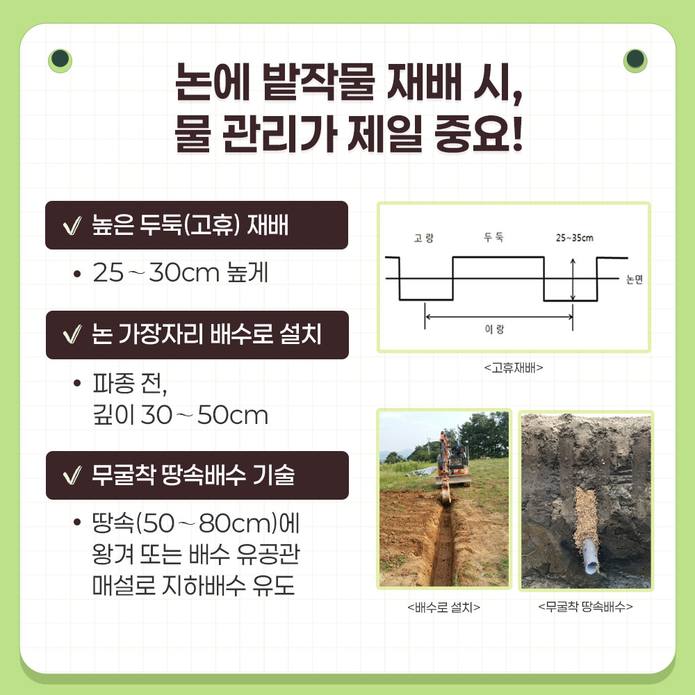 p1.jpg