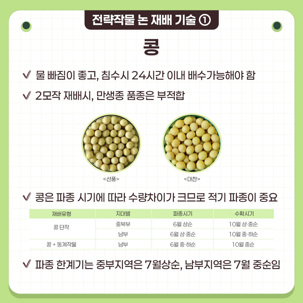 p1.jpg