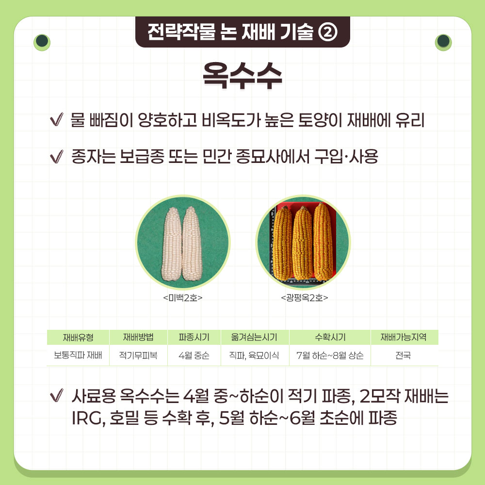 p1.jpg