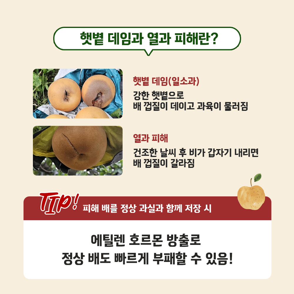 cardNews_01(1).jpg