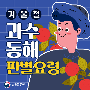 겨울철과수동해판별요령1.png