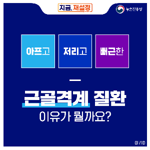 근골격계질환_211203_1.png