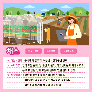 채소