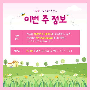 이번 주 정보