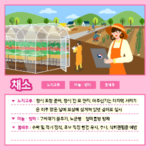 채소