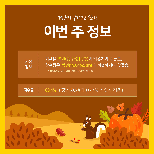 이번 주 정보