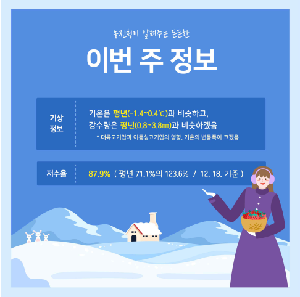 이번 주 정보