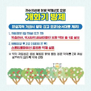 농촌진흥청(카드뉴스)과수화상병-개화기_페이지_1.jpg