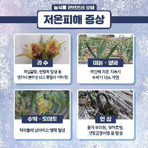 (카드뉴스)봄철저온피해예방농작물관리요령_1.png