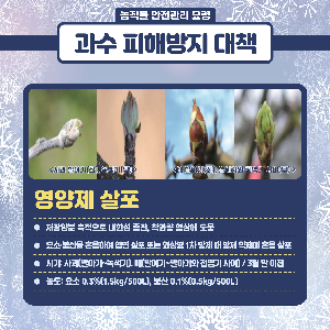 (카드뉴스)봄철저온피해예방농작물관리요령_1.png