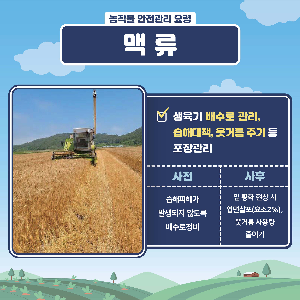 (카드뉴스)봄철저온피해예방농작물관리요령_1.png