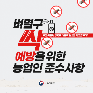 벼멸구예방농업인준수사항카드뉴스_1.png