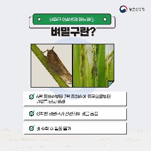 벼멸구예방농업인준수사항카드뉴스_1.png