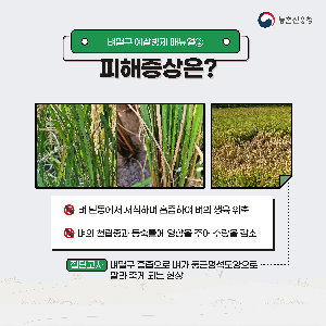 벼멸구예방농업인준수사항카드뉴스_1.png