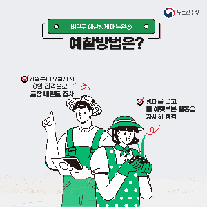 벼멸구예방농업인준수사항카드뉴스_1.png