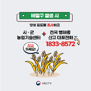 벼멸구예방농업인준수사항카드뉴스_1.png